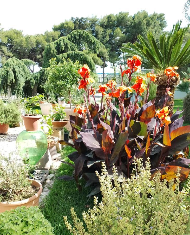 B & B Paradise Melendugno Εξωτερικό φωτογραφία
